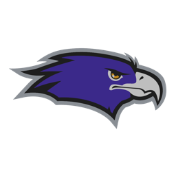 Night Hawks