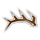 Antlers