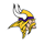 Minnesota Vikings (DarksideSouljer)